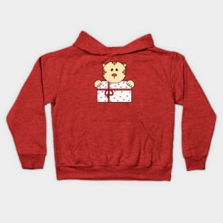 Christmas Cat With Xmas Gift Kids Hoodie